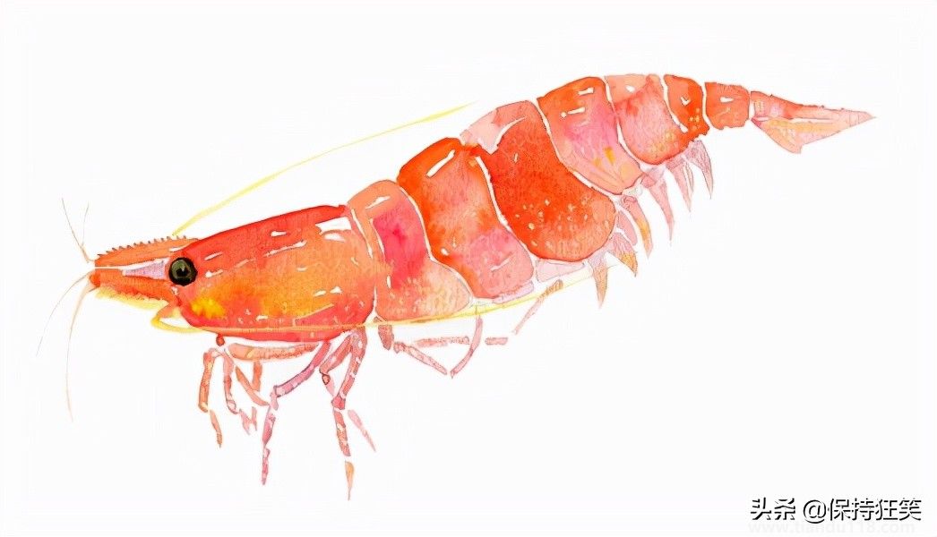 臺(tái)灣有哪些特產(chǎn)(臺(tái)灣特產(chǎn)排行榜前十名)(圖11) 臺(tái)灣十大特產(chǎn)排行榜 臺(tái)灣特產(chǎn)什么最出名 來臺(tái)旅游值得帶的伴手禮