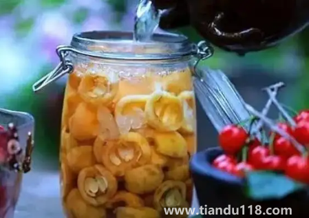 放了幾年的枇杷泡酒還能喝嗎(枇杷泡酒兩年多了還可以喝嗎)(圖2) 放了6年的枇杷泡酒還能喝嗎2