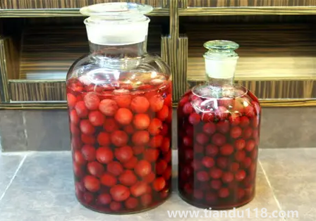 楊梅不洗可以直接泡酒嗎(楊梅酒泡幾個月可以喝)(圖2) 楊梅不洗可以直接泡酒嗎2