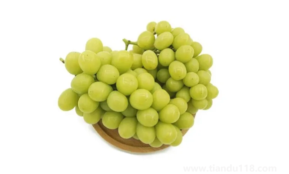 陽光玫瑰葡萄怎么辨別真假(陽光玫瑰葡萄幾月份上市)(圖2) 陽光玫瑰葡萄怎么辨別真假2