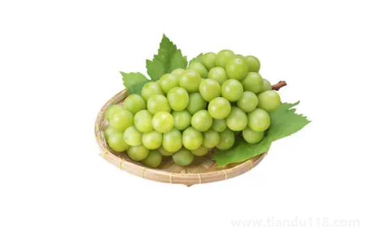 陽(yáng)光玫瑰葡萄和晴王葡萄是一個(gè)品種嗎(吃陽(yáng)光玫瑰有什么好處)(圖2) 陽(yáng)光玫瑰葡萄和晴王葡萄是一個(gè)品種嗎2