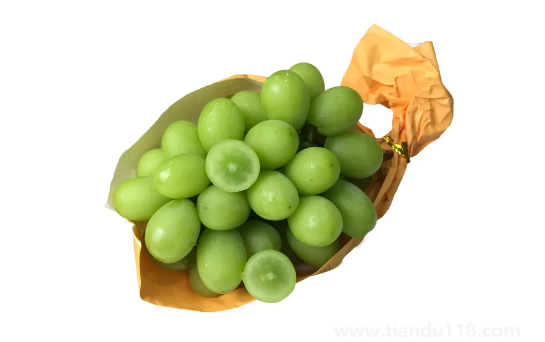 陽(yáng)光玫瑰葡萄和晴王葡萄哪個(gè)價(jià)格貴(晴王葡萄多少錢一斤)(圖2) 陽(yáng)光玫瑰葡萄和晴王葡萄哪個(gè)價(jià)格貴2