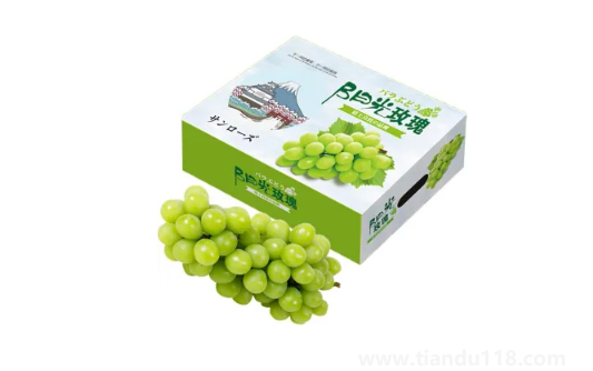 陽光玫瑰葡萄和晴王葡萄哪個價格貴（晴王葡萄多少錢一斤）