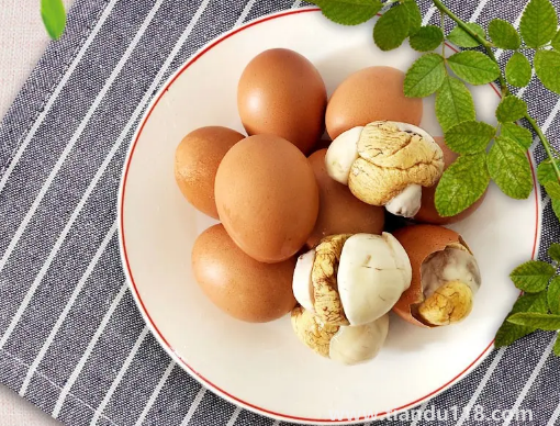 活珠子有不能吃的部位嗎(哪些人不適合吃活珠子)(圖2) 活珠子有不能吃的部位嗎2