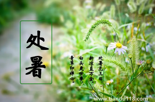 2022年處暑的具體時(shí)間是幾點(diǎn)(處暑吃什么)(圖3) 2022年處暑是幾月幾號(hào)幾點(diǎn)幾分幾秒鐘3