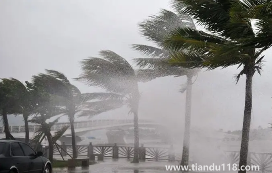 2022年為什么臺(tái)風(fēng)這么少（臺(tái)風(fēng)來(lái)了怎么辦）