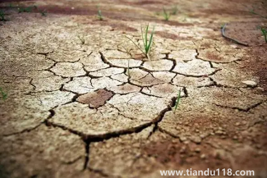 2022年為什么干旱地區(qū)多(干旱有什么危害)(圖1) 2022年為什么干旱地區(qū)多1