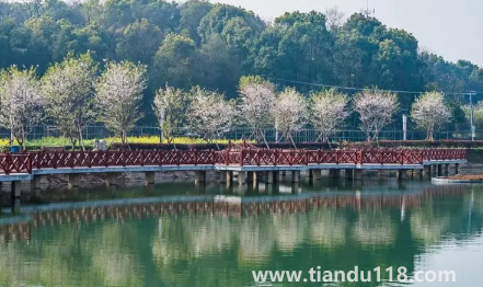 2022國慶開車去長沙是1號走好還是30號晚上好(國慶開車去長沙什么時候堵車厲害)(圖3) 2022國慶開車去長沙是1號走好還是30號晚上好3