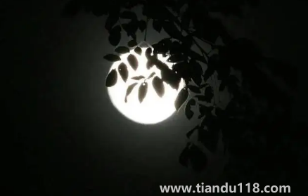 2022河南中秋節(jié)高速公路免費(fèi)嗎(中秋節(jié)放假是從哪一年開始的)(圖2) 2022河南中秋節(jié)高速公路免費(fèi)嗎2