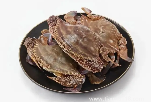 梭子蟹蒸出來(lái)為什么是空的(梭子蟹不能和什么一起吃)(圖3) 梭子蟹蒸出來(lái)為什么是空的3