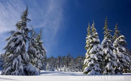 2022年到2023年冬天冷不冷（2023年冬天會(huì)比2022年冷嗎）