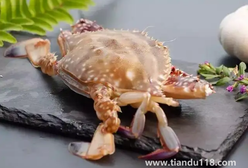 梭子蟹買回來(lái)沒多久就死了可以吃嗎(梭子蟹的做法推薦)(圖2) 梭子蟹買回來(lái)沒多久就死了可以吃嗎2