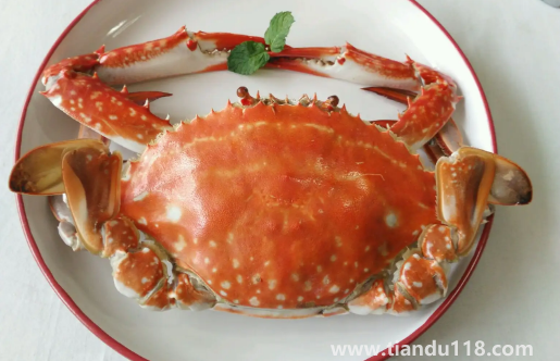 冷凍梭子蟹清蒸完變空心了還能吃嗎(冷凍梭子蟹怎么吃)(圖3) 冷凍梭子蟹清蒸完變空心了還能吃嗎3