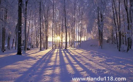 2022到2023年冬天會是暖冬嗎(2022年什么時候入冬)(圖3) 2022到2023年冬天會是暖冬嗎3