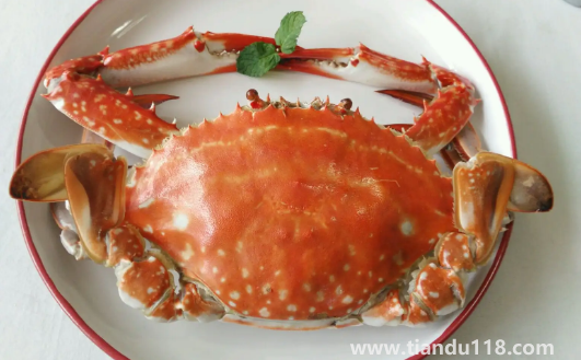 梭子蟹能放零度保鮮嗎(活梭子蟹怎么保存)(圖2) 梭子蟹能放零度保鮮嗎2