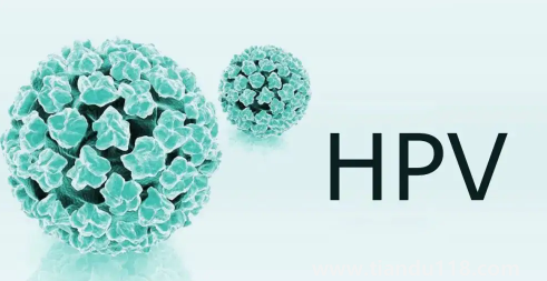 支付寶九價(jià)疫苗預(yù)約要多久(九價(jià)疫苗三針一共多少錢)(圖3) 支付寶九價(jià)疫苗預(yù)約要多久3