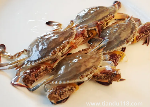 梭子蟹用高壓鍋蒸多長時間(梭子蟹哪些人不能吃)(圖3) 梭子蟹用高壓鍋蒸多長時間3