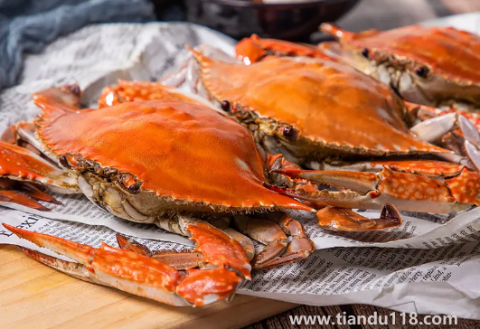 梭子蟹涼了還需要加熱嗎(梭子蟹適合怎么吃)(圖2) 梭子蟹涼了還需要加熱嗎2