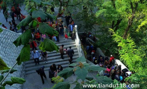 重陽節(jié)登高是早上還是晚上（重陽節(jié)登山注意什么）