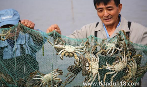 洗澡蟹啥意思（洗澡蟹和過水蟹的區(qū)別）