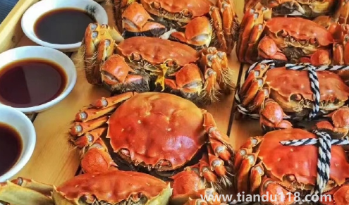 2022陽(yáng)澄湖大閘蟹中秋節(jié)能吃到嗎(陽(yáng)澄湖大閘蟹在哪里買最正宗)(圖2) 2022陽(yáng)澄湖大閘蟹中秋節(jié)能吃到嗎2
