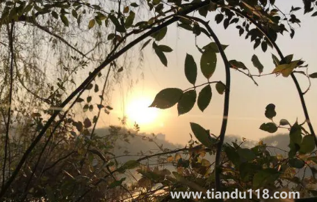 2022年重陽(yáng)節(jié)天氣冷嗎(重陽(yáng)節(jié)溫度大概多少度)(圖3) 2022年重陽(yáng)節(jié)天氣冷嗎3