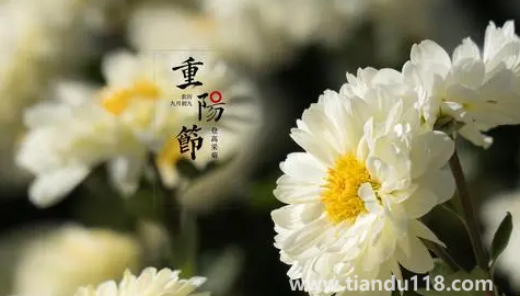 2022年學(xué)校重陽節(jié)什么時候開始放假（2022年重陽節(jié)是公歷幾月幾日）