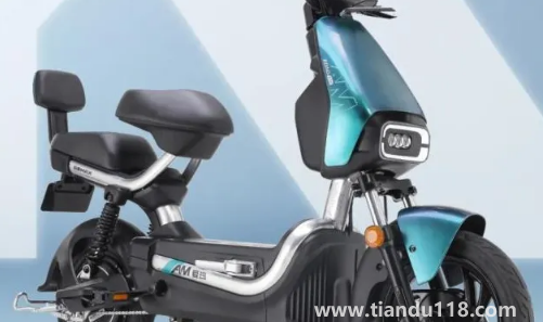 電動車真空胎一般打幾個氣壓(電動車真空胎壽命多少公里)(圖3) 電動車真空胎一般打幾個氣壓3