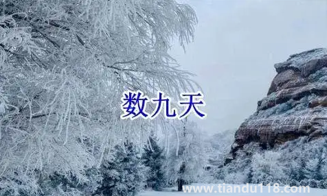 2022數(shù)九從哪一天開始到哪一天結(jié)束(數(shù)九要注意什么)(圖1) 2022數(shù)九從哪一天開始到哪一天結(jié)束1