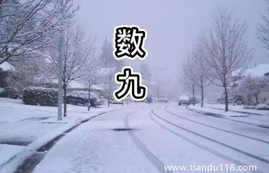 2022數(shù)九從哪一天開始到哪一天結(jié)束(數(shù)九要注意什么)(圖3) 2022數(shù)九從哪一天開始到哪一天結(jié)束3