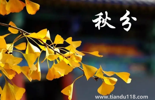 2022年秋分是農(nóng)歷幾月幾號幾點幾分幾秒(秋分怎么養(yǎng)生)(圖2) 2022年秋分是農(nóng)歷幾月幾號幾點幾分幾秒2