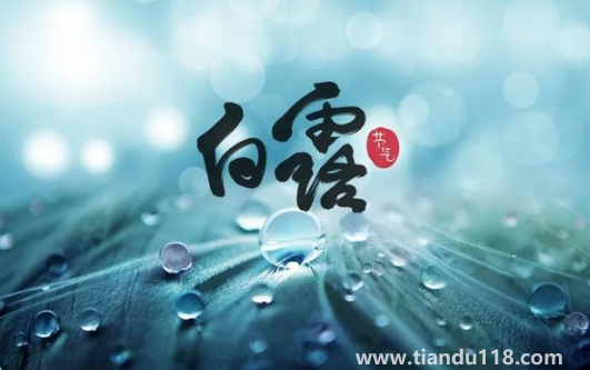 2022白露當(dāng)天出生好還是白露后出生好(白露生孩子要注意什么)(圖3) 2022白露當(dāng)天出生好還是白露后出生好3