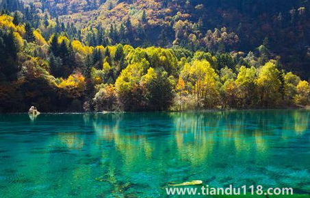 九寨溝今年國慶節(jié)開放嗎2022(游九寨溝什么月份最佳)(圖2) 九寨溝今年國慶節(jié)開放嗎20222