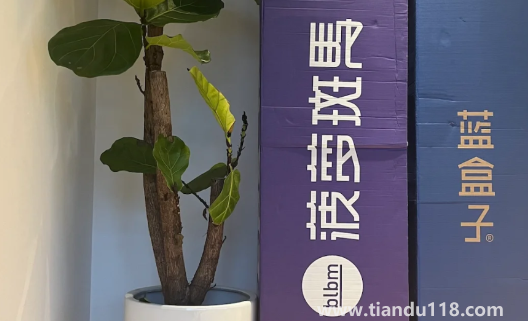 藍(lán)盒子和菠蘿斑馬哪個(gè)好（藍(lán)盒子和菠蘿斑馬床墊的優(yōu)勢(shì)）