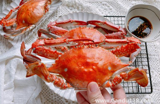 梭子蟹哪種好吃（梭子蟹的盛產時間是什么時候）