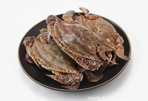 梭子蟹二母蟹是什么意思（梭子蟹什么時候吃最好）