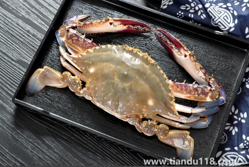 昨天買的梭子蟹今天不動(dòng)了能吃嗎(活的梭子蟹怎么保存)(圖3) 昨天買的梭子蟹今天不動(dòng)了能吃嗎3