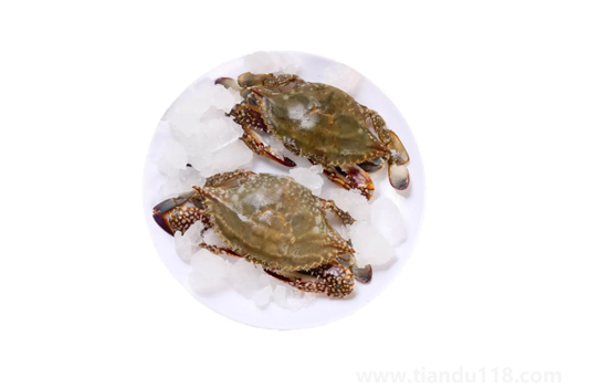 昨天買的梭子蟹今天不動(dòng)了能吃嗎(活的梭子蟹怎么保存)(圖1) 昨天買的梭子蟹今天不動(dòng)了能吃嗎1