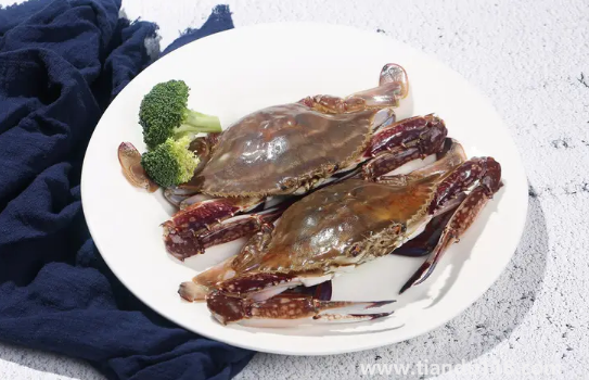 梭子蟹什么顏色是肥的（食用梭子蟹的注意事項）