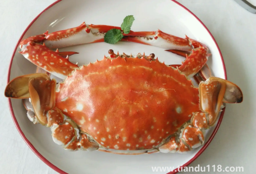 梭子蟹有苦味怎么回事(吃梭子蟹的注意事項)(圖2) 梭子蟹有苦味怎么回事2