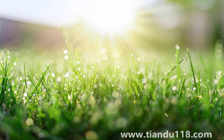 2022北京的冬天什么時候開始冷(北京的冬天多長時間)(圖3) 2022北京的冬天什么時候開始冷3