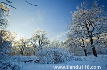 2023年冬季預(yù)測冷還是暖(2023年的冬天還會冷嗎)(圖3) 2023年冬季預(yù)測冷還是暖3