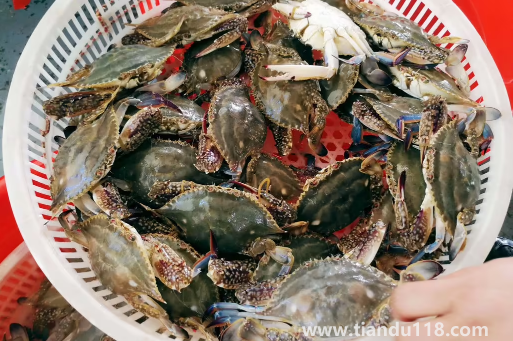 網(wǎng)上買梭子蟹是活的還是死的（梭子蟹寄過(guò)來(lái)死了能吃嗎）