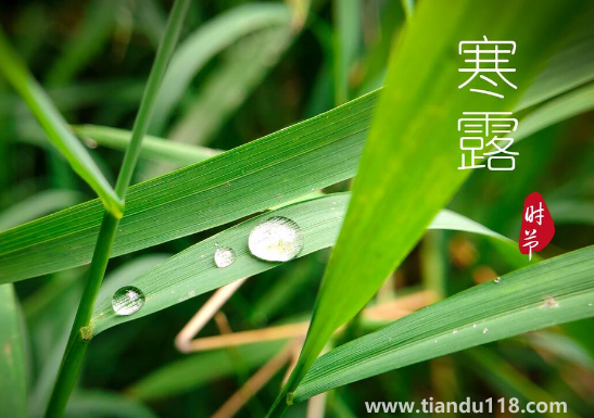 2022年寒露可以搬家嗎(搬家吉日怎么選擇)(圖3) 2022年寒露可以搬家嗎3