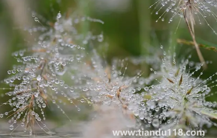 2022年寒露可以搬家嗎(搬家吉日怎么選擇)(圖2) 2022年寒露可以搬家嗎2