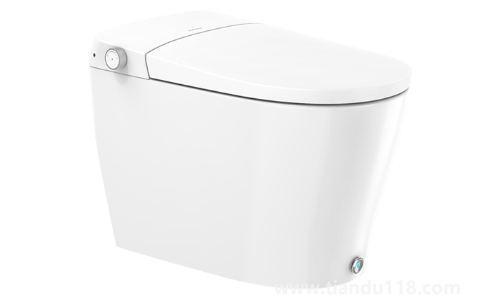 馬桶位置只有60厘米寬夠用嗎(坑距350選300還是400的馬桶)(圖2) 馬桶位置只有60厘米寬夠用嗎2