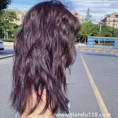 黑紫色和黑加侖紫是一個顏色嗎3