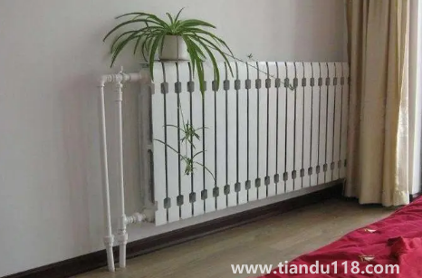 南京冬季1月冷還是2月冷（南京冬天冷嗎）