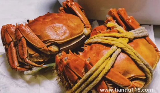 清水煮螃蟹煮5分鐘能吃嗎(螃蟹怎么煮得更快)(圖3) 清水煮螃蟹煮5分鐘能吃嗎3