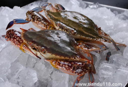 梭子蟹哪個(gè)部位最寒（螃蟹怎么吃沒(méi)那么寒）